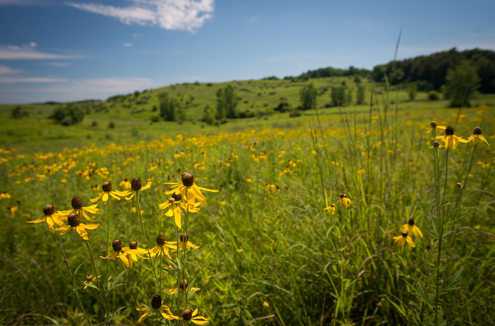 Prairie outlet